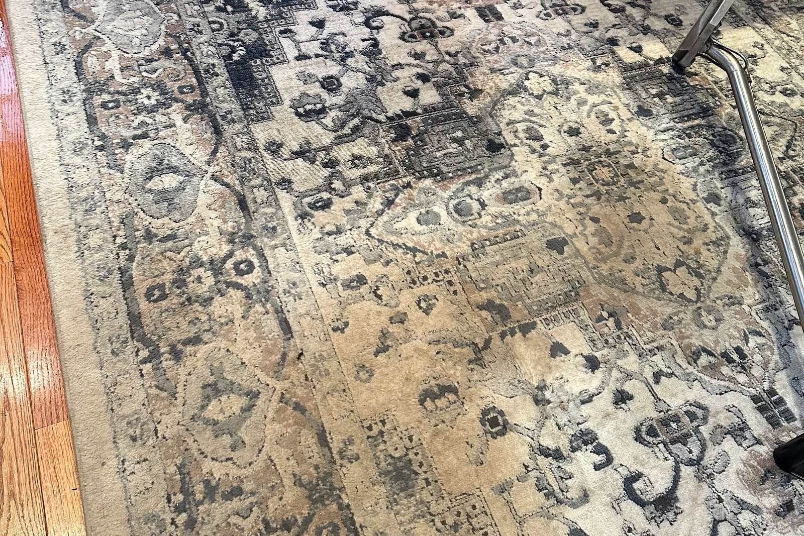 A grey and cream oriental rug part-way through cleaning, the wand in frame and a clean stripe across the pile