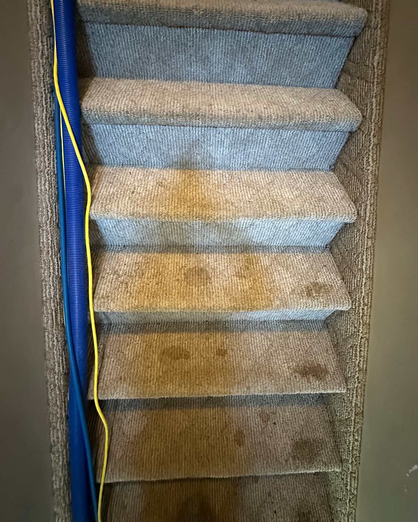 Carpeted stair treads blotched orange-brown with traffic soil, extraction hose lying across them