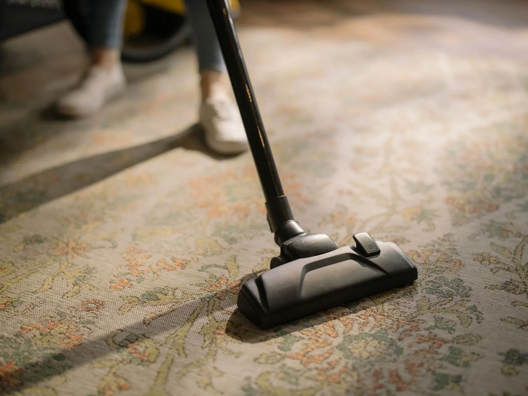 Carpet Care After Steam Cleaning in Elizabeth NJ