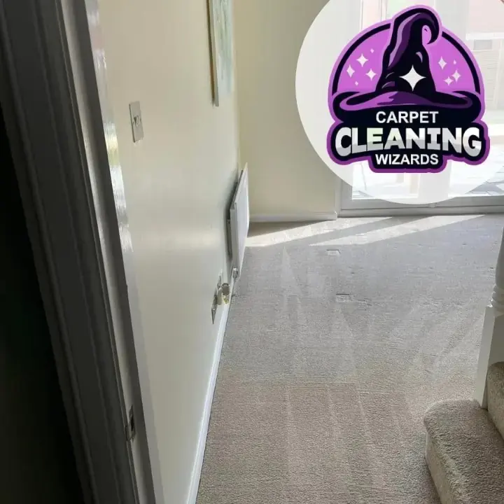 Carpet, cleaned in Union NJ by Carpet Cleaning Wizards
