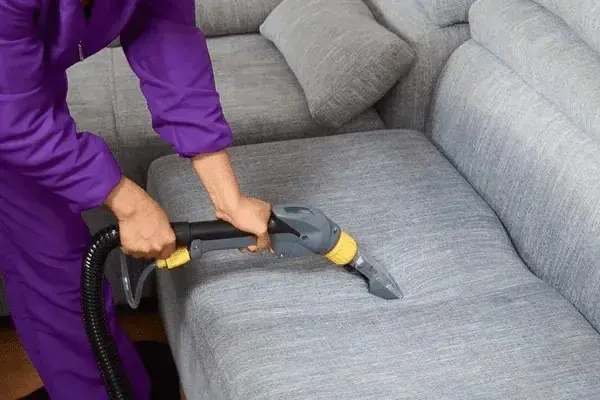Sofa, cleaned by Carpet Cleaning Wizards