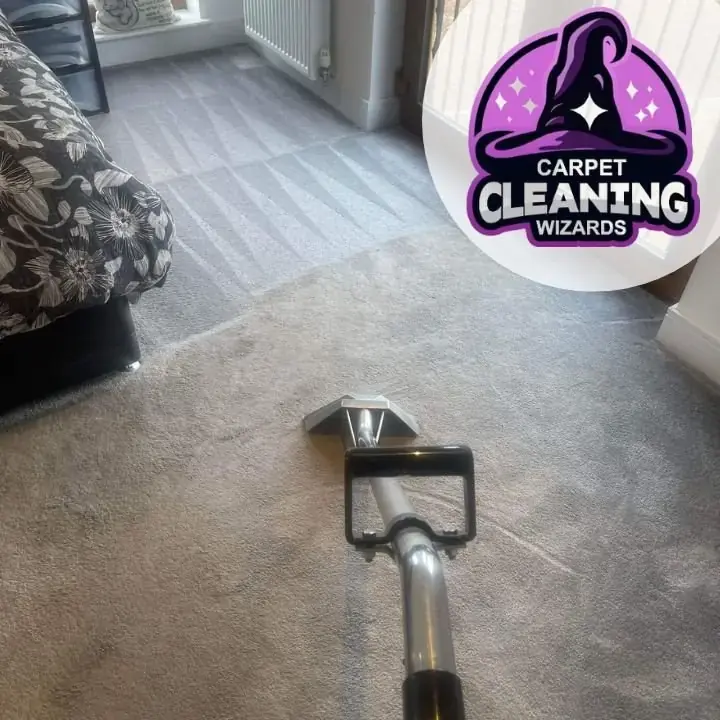 Carpet, cleaned by Carpet Cleaning Wizards