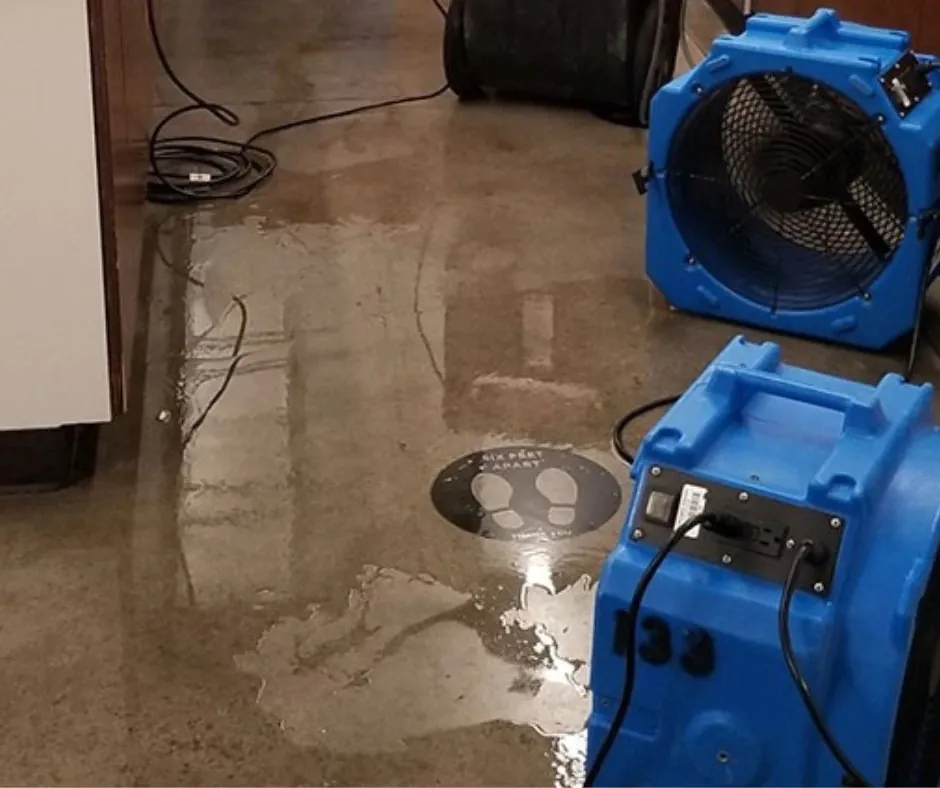 Equipo de extracción de agua sobre una alfombra mojada durante un trabajo de secado