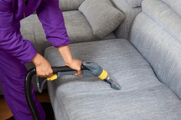 sofa cleaning