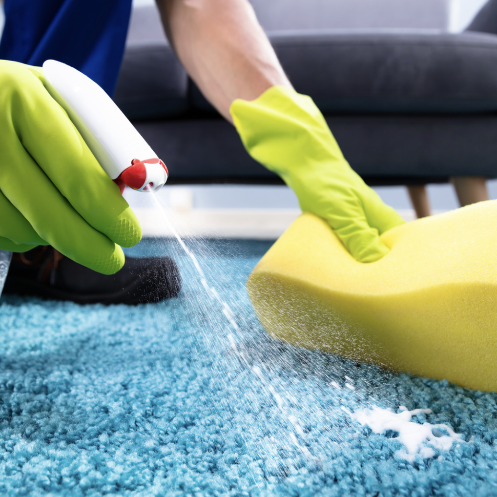 Carpet Deodorization and Sanitization NJ