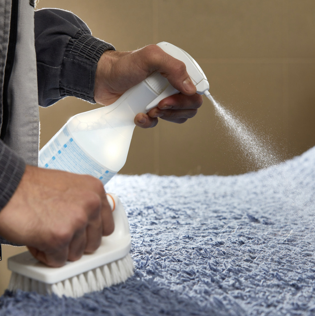 Carpet Deodorization and Sanitization New Jersey