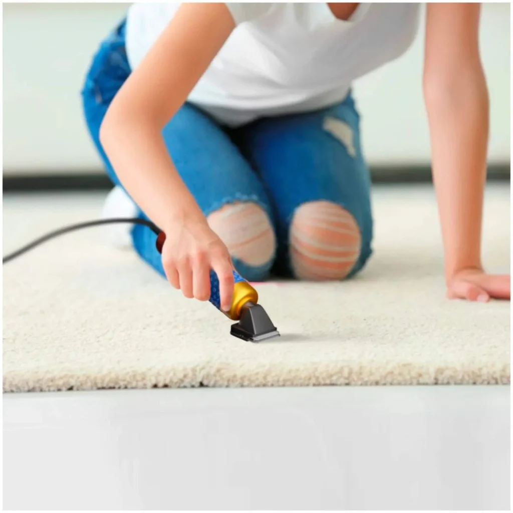 Rug Cleaning