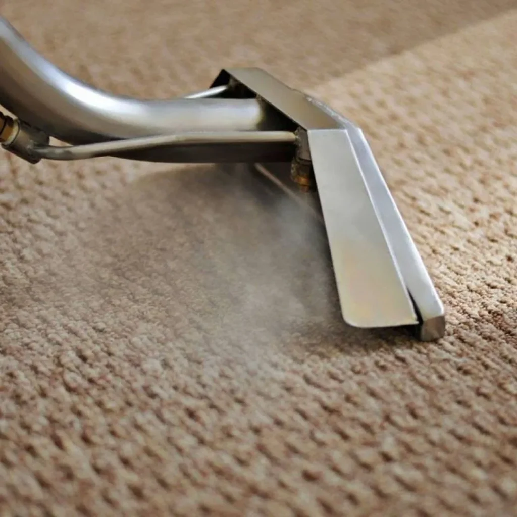 carpet cleaning services