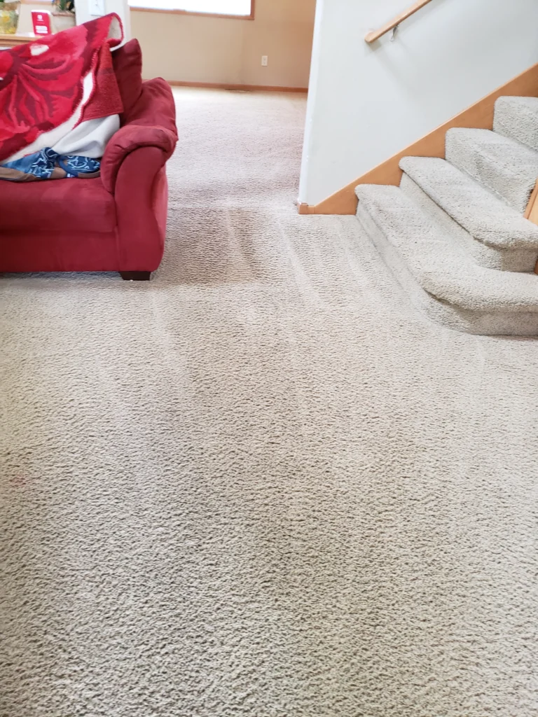 Rug Cleaning