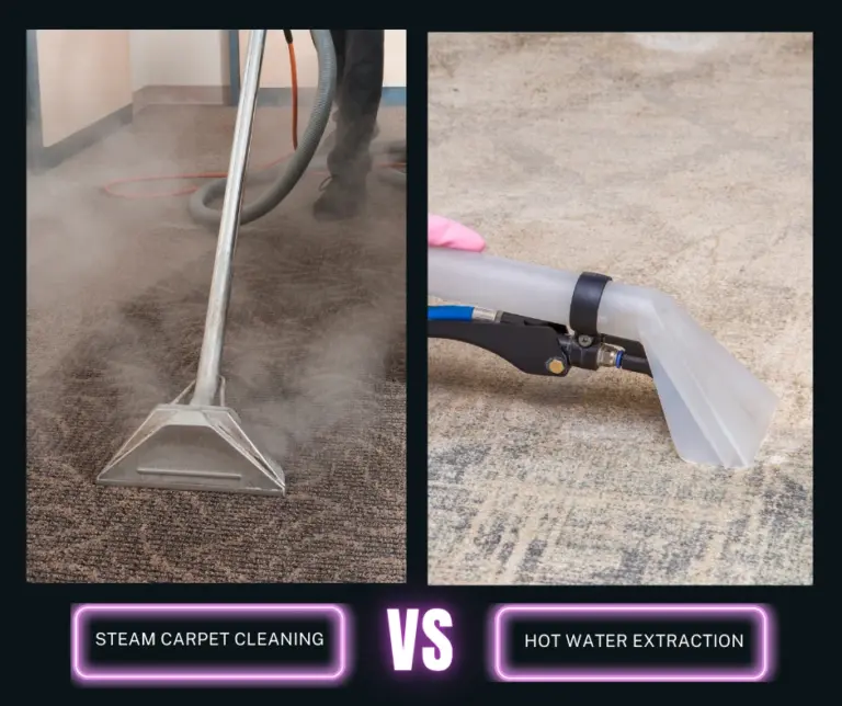 "Visual comparison of steam cleaning and hot water extraction tools used on carpets, highlighting technique and effectiveness."