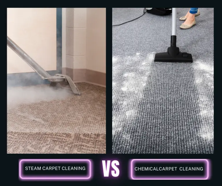 "Side-by-side comparison of steam carpet cleaning and chemical carpet cleaning, showing service preference and method differences."
